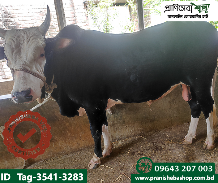 Bull Tag-3541-33283