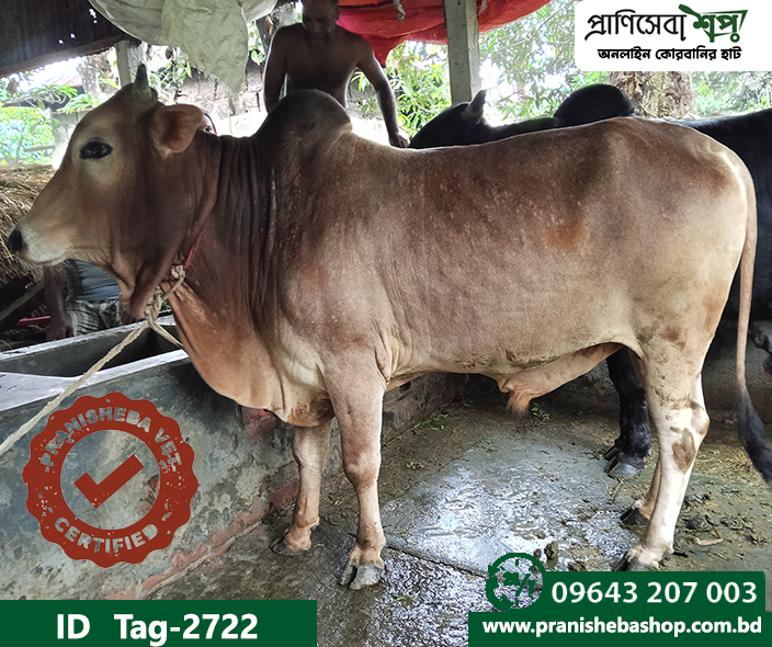 Bull Tag : 2722