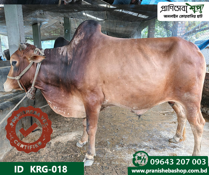 Bull KRG-0018