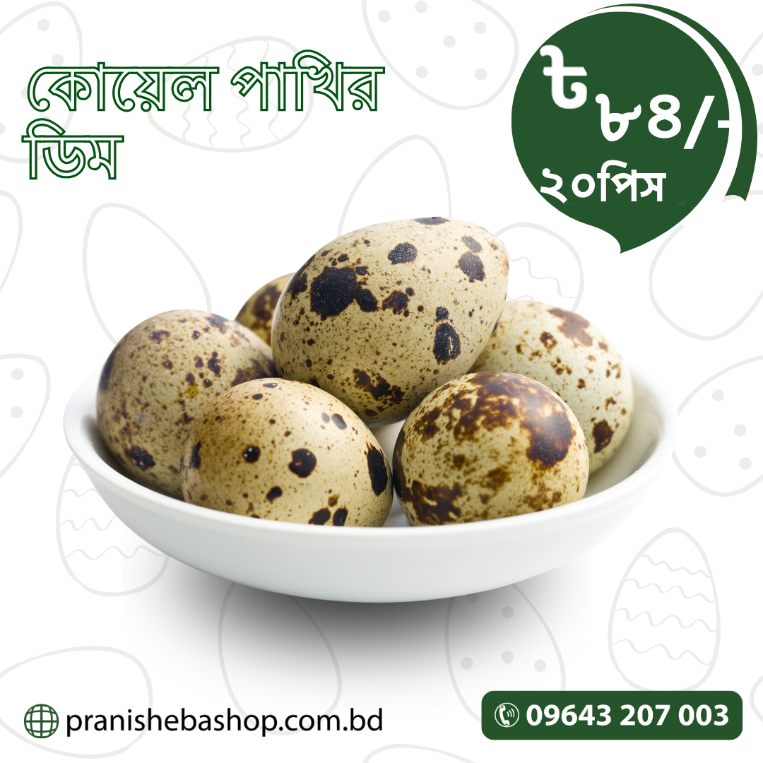 Quail Egg (কোয়েল পাখির ডিম)