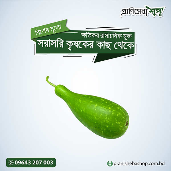 Bottle Gourd