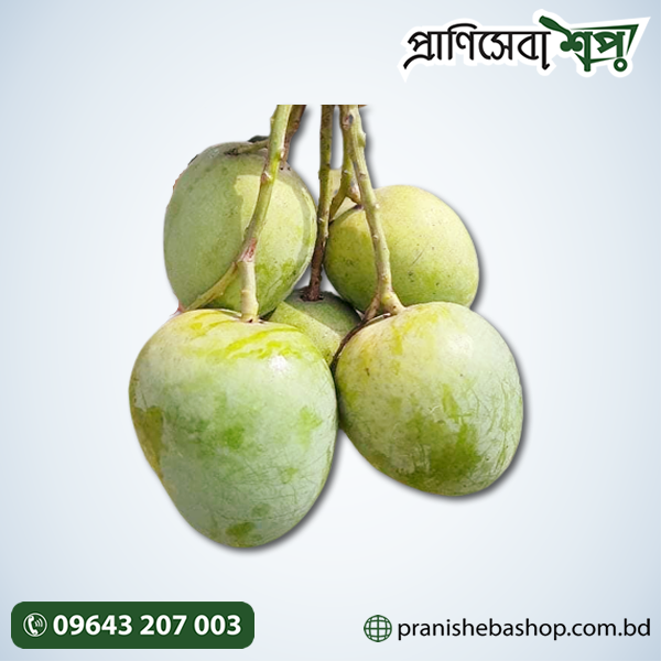 Khirsapat Mango (Chapainawabganj)