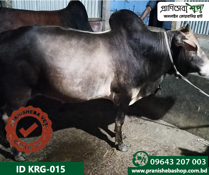 Bull KRG-0015